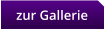 zur Gallerie