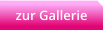 zur Gallerie